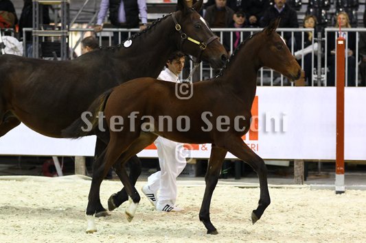 PAN CARRE_MILANO_2010_SS3_8347.jpg